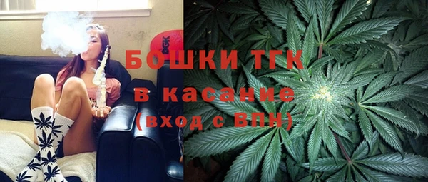 индика Зеленокумск