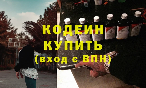 индика Зеленокумск