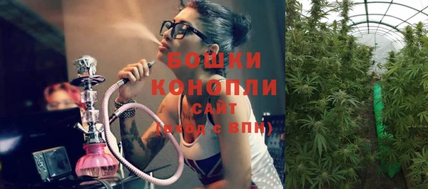 индика Зеленокумск
