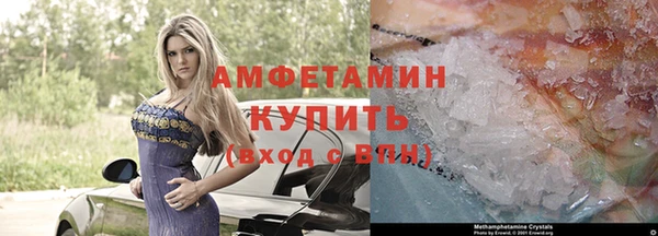 индика Зеленокумск