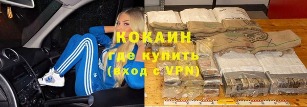 тгк Новозыбков