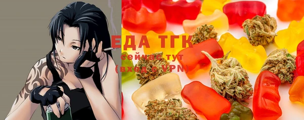 индика Зеленокумск