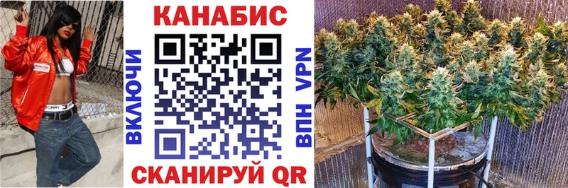Каннабис White Widow  Купить закладки  Зверево 